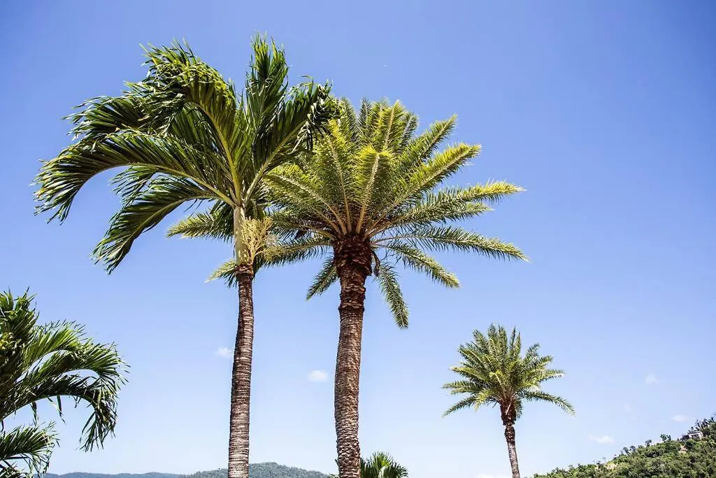 Star View 9, Pool, Wifi, Sleep 4, Best Views In Airlie Airlie Beach 0*,